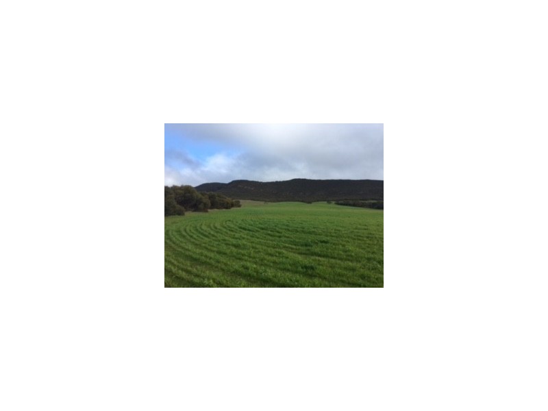 Lot 302 Hundred of Mortlock, Edillilie SA 5630