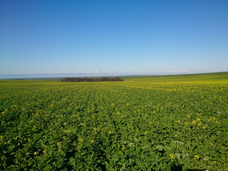 2181 Arno Bay Road, Cleve SA 5640