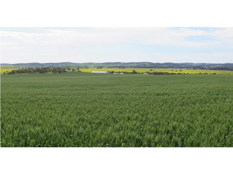 2181 Arno Bay Road, Cleve SA 5640