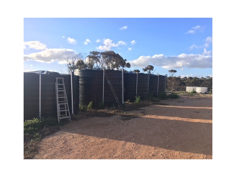 2181 Arno Bay Road, Cleve SA 5640