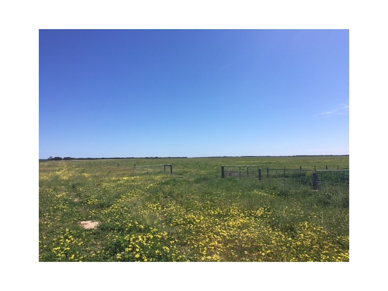 Section 13 Argent Road, Lock SA 5633