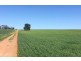 Section 13 Argent Road, Lock SA 5633