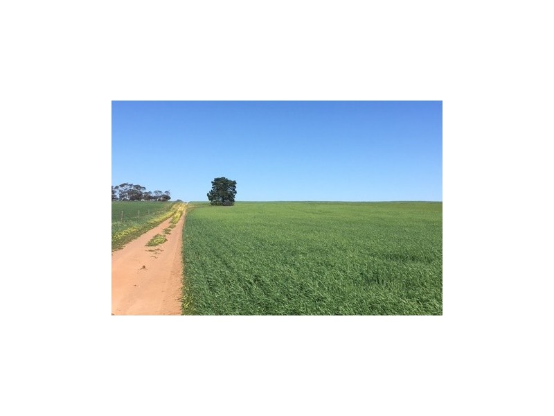 Section 13 Argent Road, Lock SA 5633