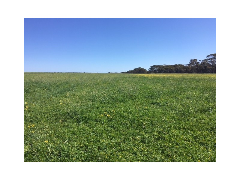 Section 13 Argent Road, Lock SA 5633