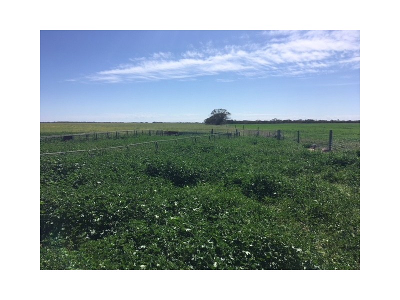 Section 13 Argent Road, Lock SA 5633