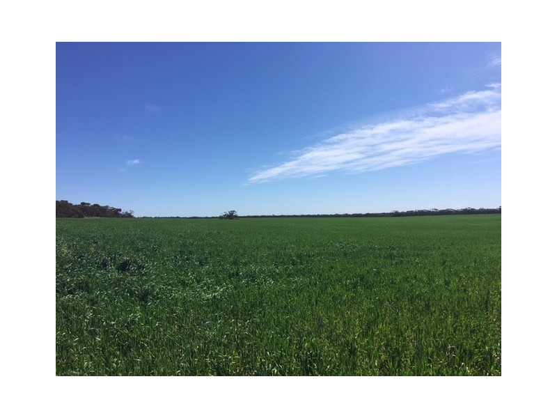 Section 13 Argent Road, Lock SA 5633