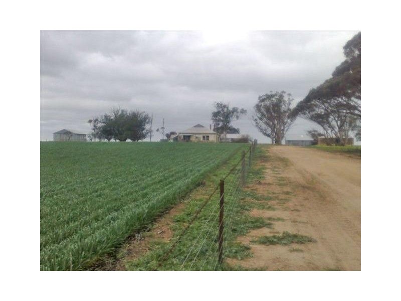 Sec 48 Hdrd Shannon, Karkoo SA 5607