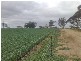 Sec 48 Hdrd Shannon, Karkoo SA 5607