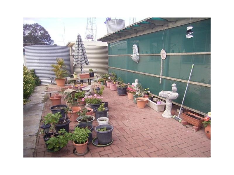 18 Hall Street, Cummins SA 5631