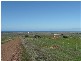 Lot 1 Harvey Well Road, Tumby Bay SA 5605
