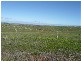 Lot 1 Harvey Well Road, Tumby Bay SA 5605