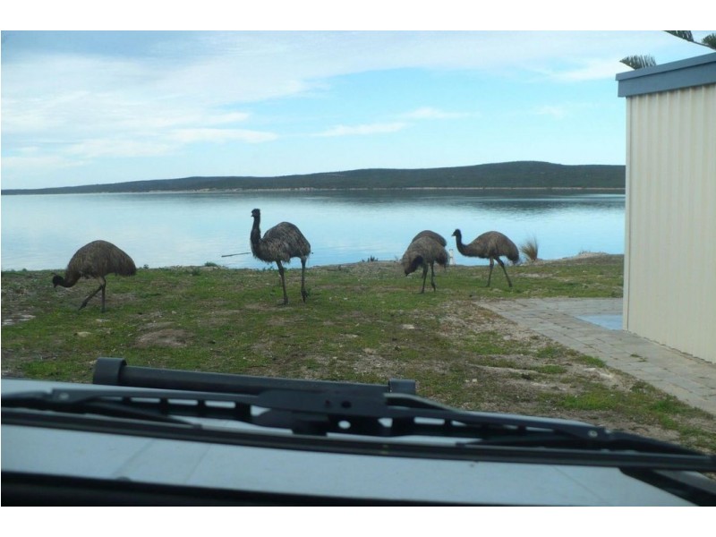 7 Fishermans Well Crescent, Tulka SA 5607