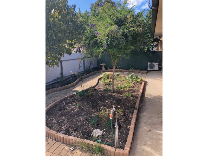 2/8 Pearson Street, Cummins SA 5631