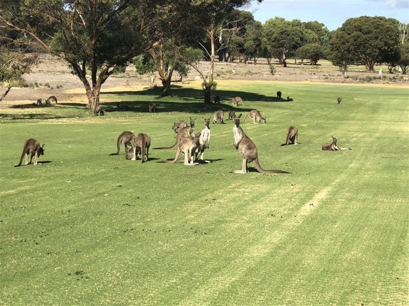 40 HOLLY RISE, Coffin Bay SA 5607