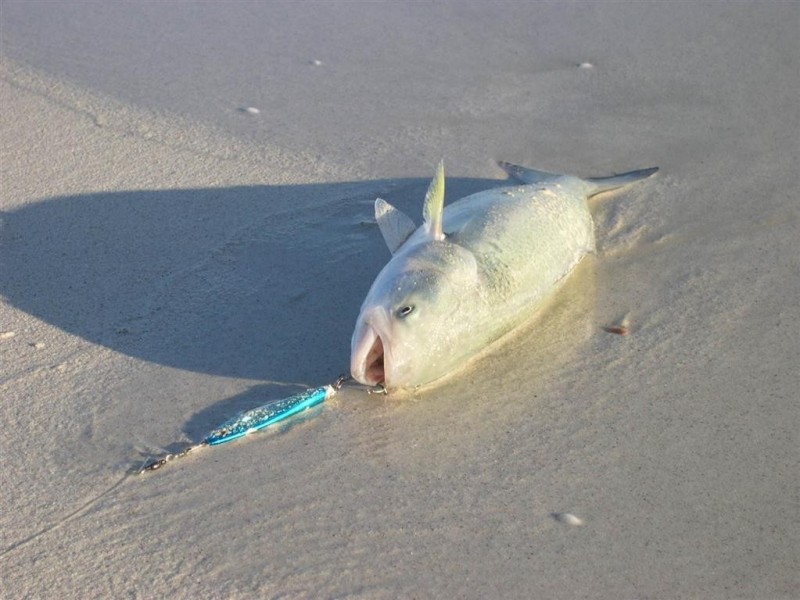 40 HOLLY RISE, Coffin Bay SA 5607