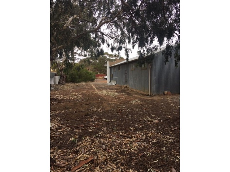 4 DODD STREET, Cummins SA 5631