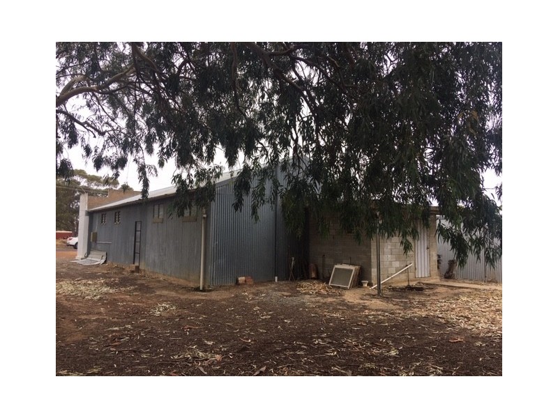 4 DODD STREET, Cummins SA 5631