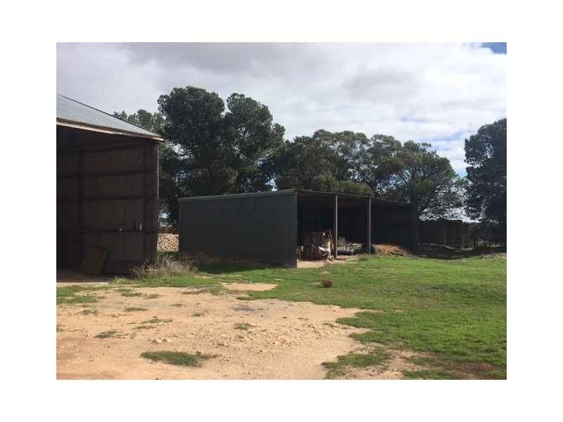 642 Lally Road, Lock SA 5633