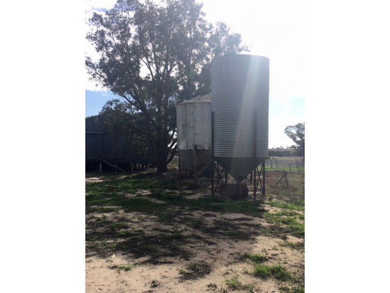 642 Lally Road, Lock SA 5633