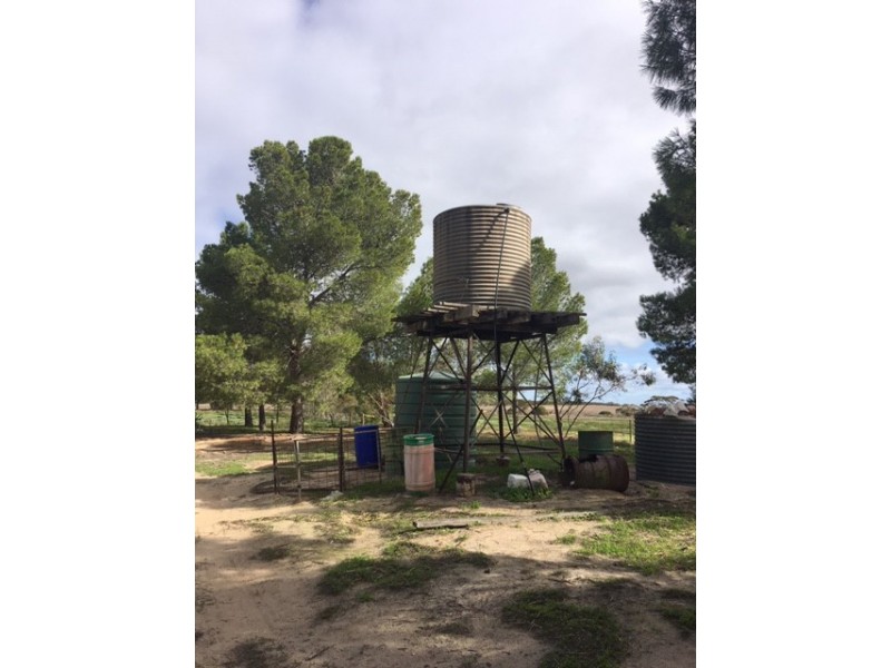 642 Lally Road, Lock SA 5633