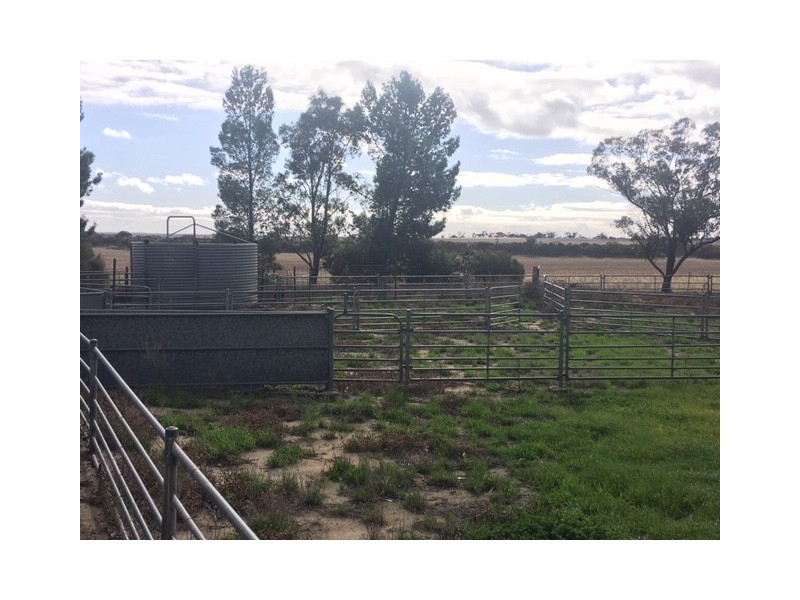 642 Lally Road, Lock SA 5633