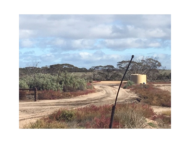 642 Lally Road, Lock SA 5633