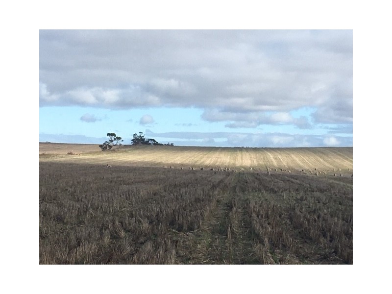 642 Lally Road, Lock SA 5633