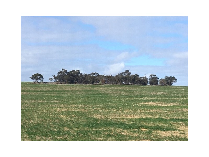 642 Lally Road, Lock SA 5633