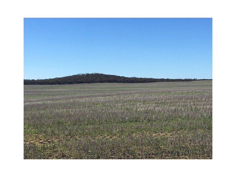 1099 Zerk Road “Malolo”, Lock SA 5633