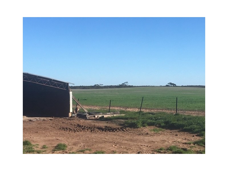 1099 Zerk Road “Malolo”, Lock SA 5633
