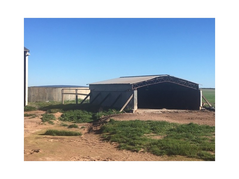 1099 Zerk Road “Malolo”, Lock SA 5633