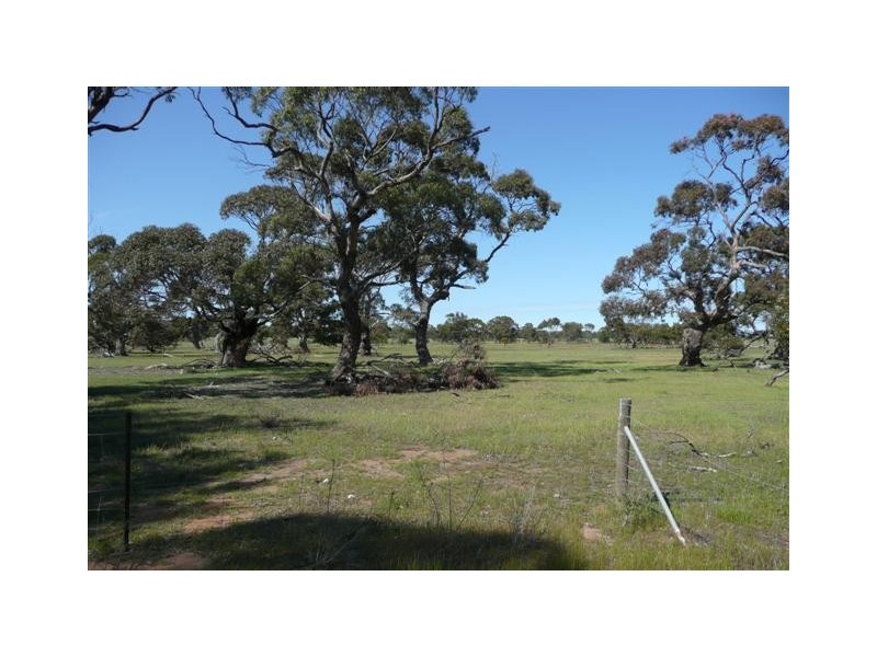 Lot 3  Koppio Road, Koppio SA 5607