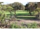 31 Holly Rise, Coffin Bay SA 5607