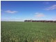 643 Pascoe Road, Lock SA 5633