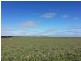 643 Pascoe Road, Lock SA 5633