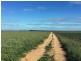 643 Pascoe Road, Lock SA 5633
