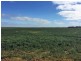 643 Pascoe Road, Lock SA 5633