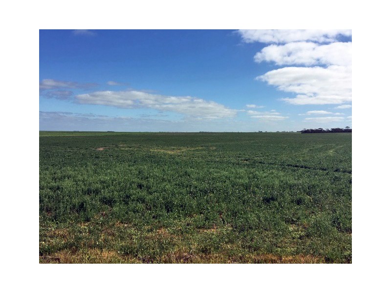 643 Pascoe Road, Lock SA 5633
