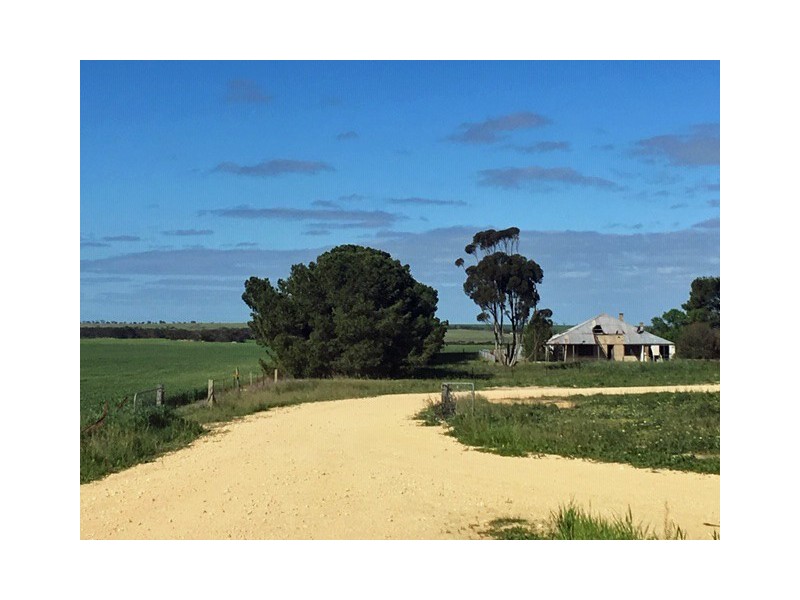 643 Pascoe Road, Lock SA 5633