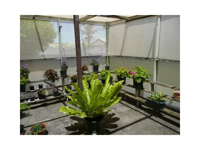 68 Eltham Avenue, Port Lincoln SA 5606