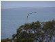 2 Unga Street, Port Lincoln SA 5606