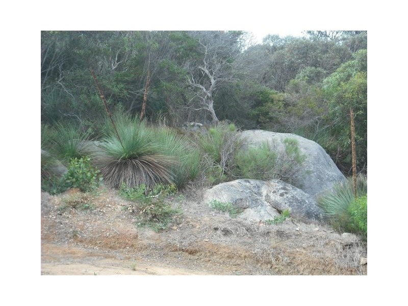 Lot 42 Nootina Road, Port Lincoln SA 5606