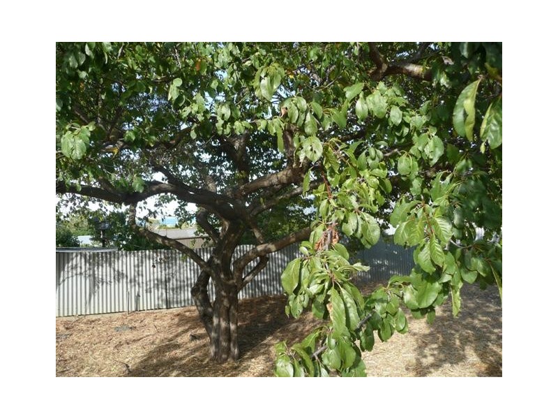 17 Ocean Avenue, Port Lincoln SA 5606