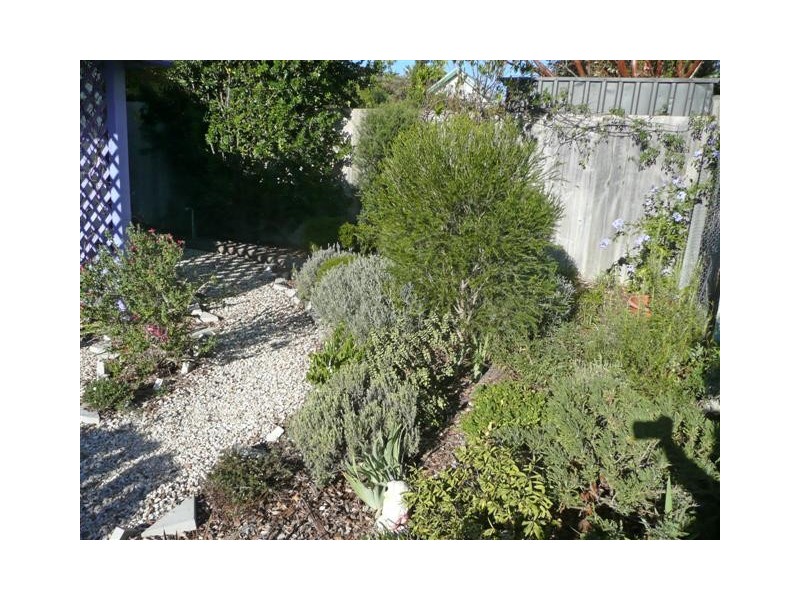 65 Eltham Avenue, Port Lincoln SA 5606