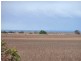 Lot 64 South Terrace, Lipson SA 5607