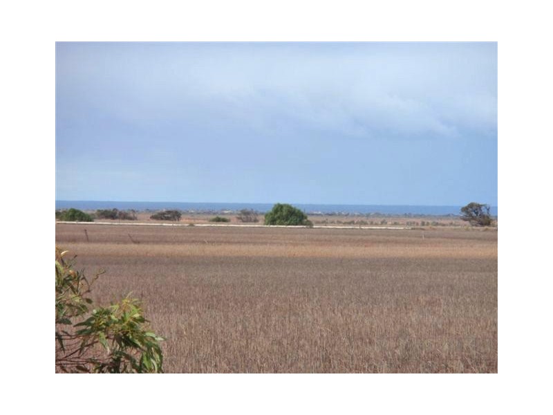 Lot 64 South Terrace, Lipson SA 5607
