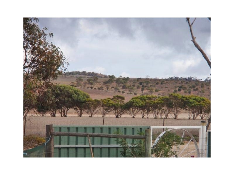 Lot 64 South Terrace, Lipson SA 5607