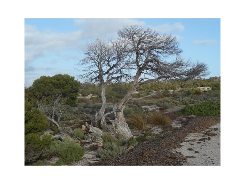 Section 138 Shelly Beach Road, Mount Dutton Bay SA 5607