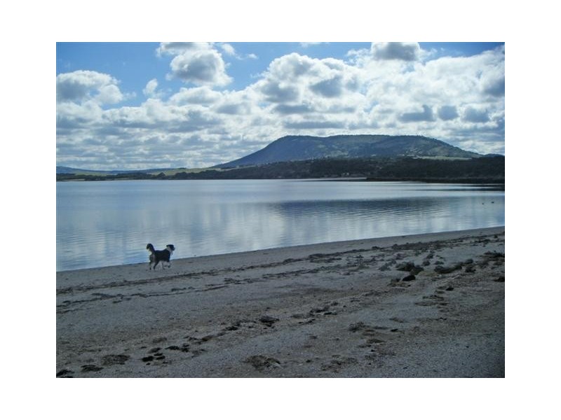 Section 138 Shelly Beach Road, Mount Dutton Bay SA 5607