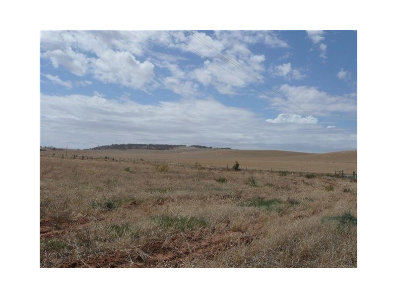 Lot 3 Curilla Estate, Tumby Bay SA 5605
